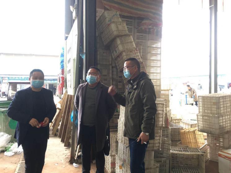 多方協作 助力消費扶貧再行動——舒城縣紀委工作組駐方畈村工作隊與西商物流公司蔬菜商戶為貧困戶分銷滯銷農產品