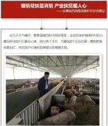 傾情幫扶顯真情 產業扶貧暖人心